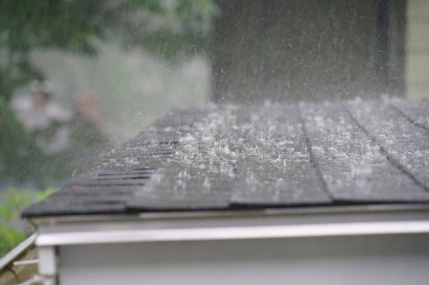 Best Emergency Roof Repair Services  in Shavano Park, TX